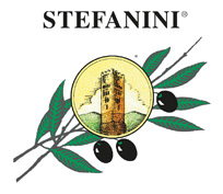 Logo stefanini Footer